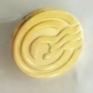 Princess Cruises Captain's Circle Gold tone lapel Pin Back NEW gold tone Ship